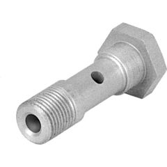 VT-1/8-1 Hohlschraube