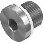 B-1/4-50 Blindstopfen